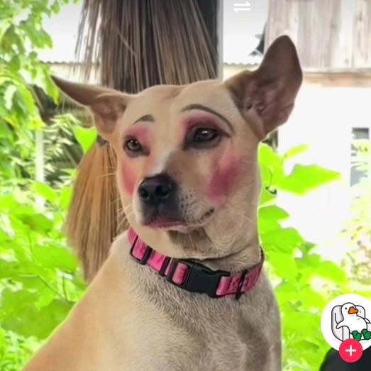 吃面不能没煎蛋