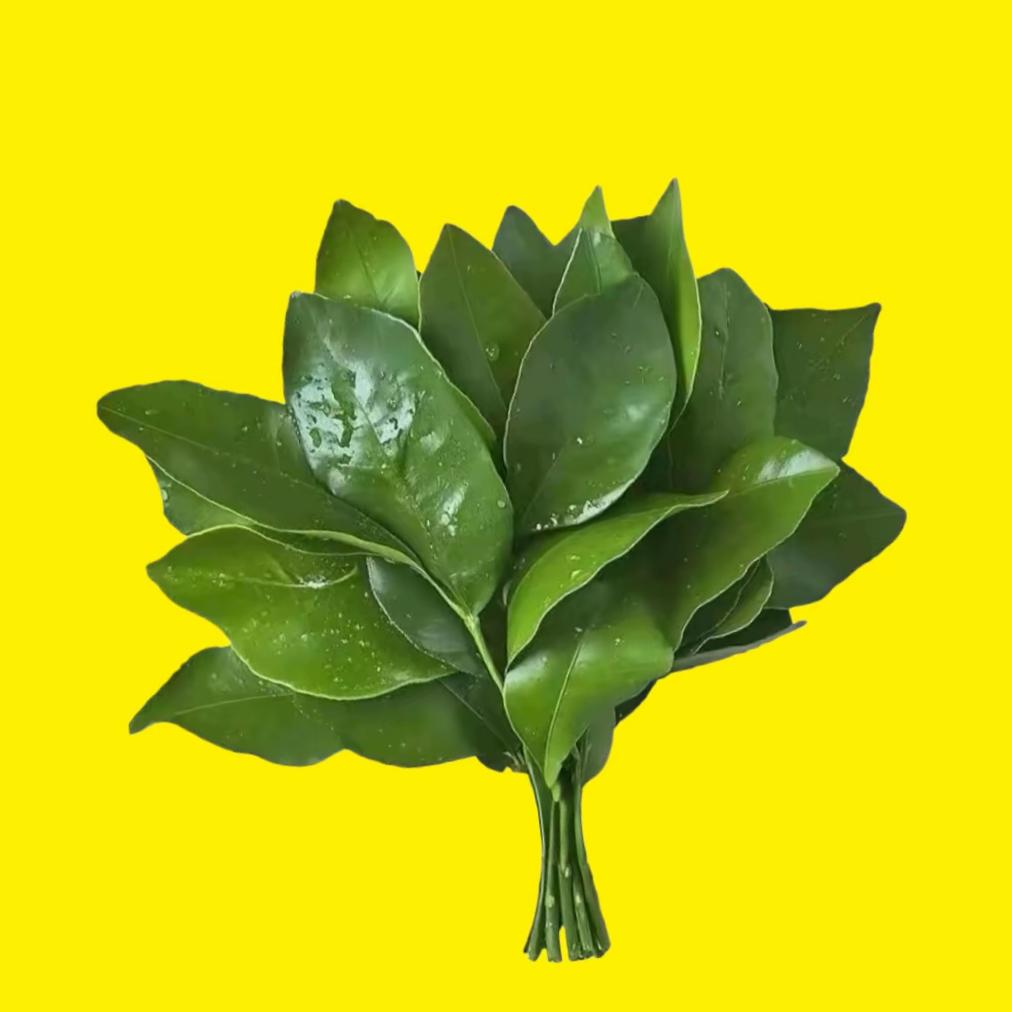 开心快乐