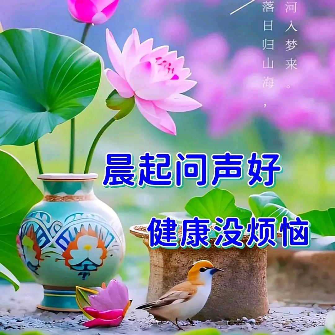 阿云