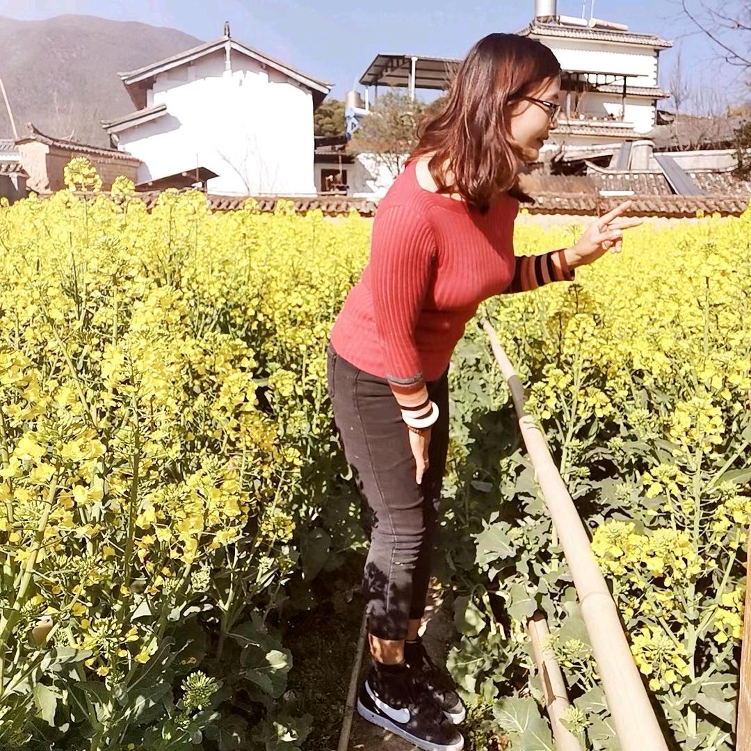 格桑花