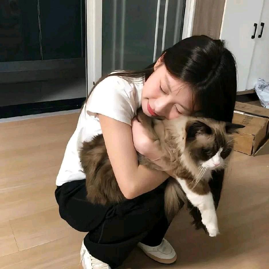 小羊咩咩。