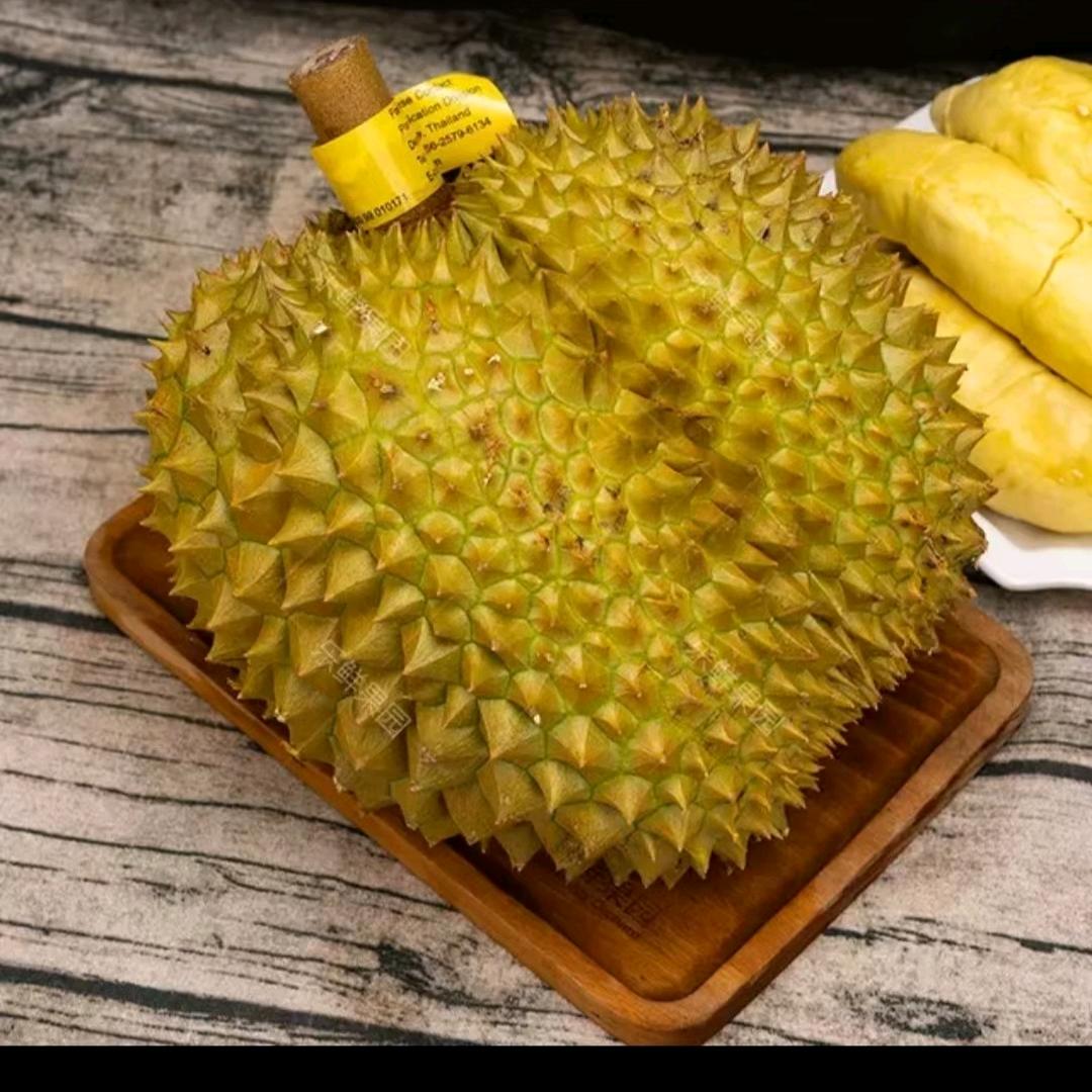 陶子（单亲妈妈）