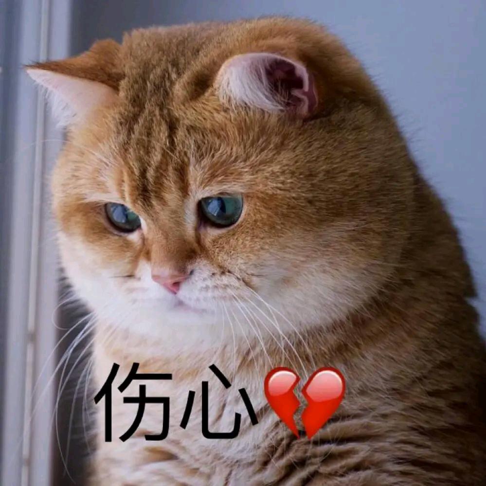 爱之深责之切