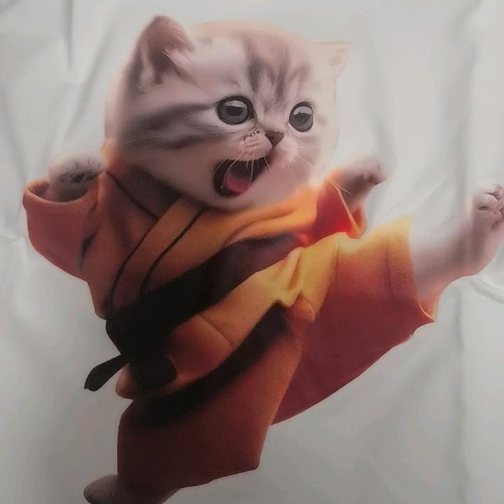 未来