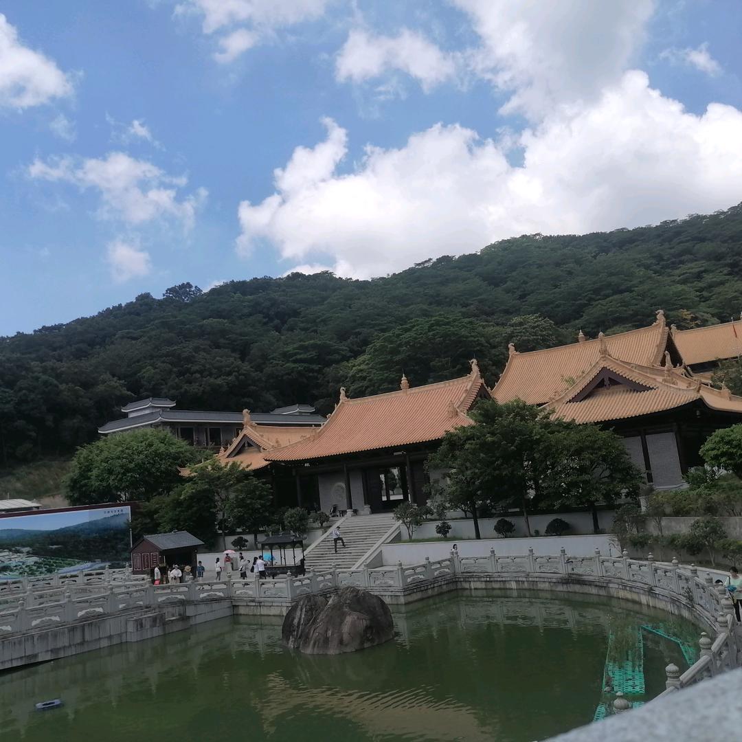 🌈🌈锦鲤本鲤🌈🌈