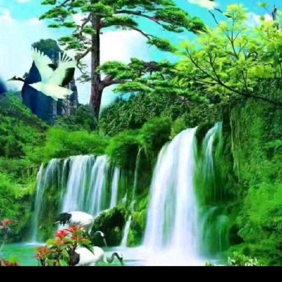 自愈能力
