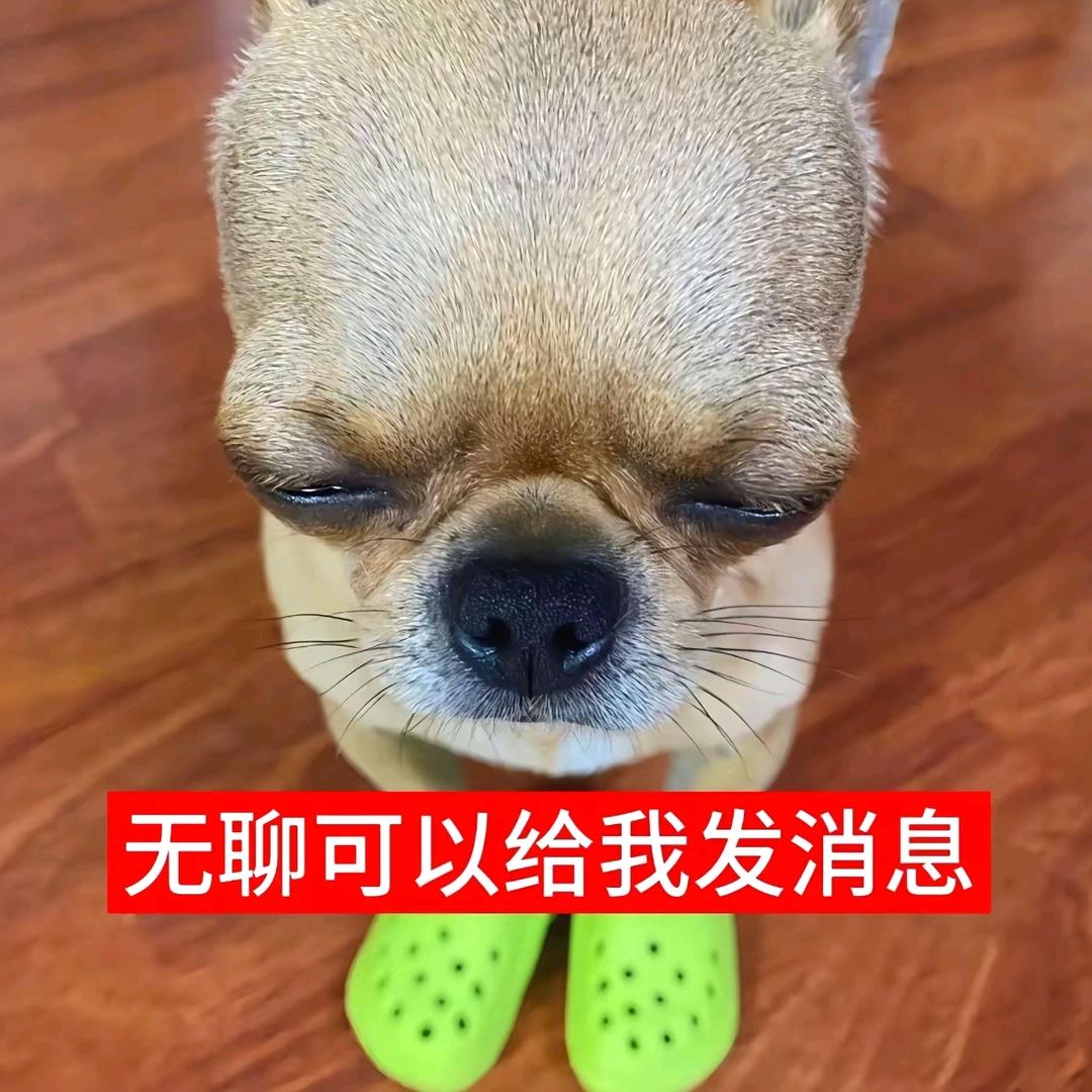 爱打🀄️