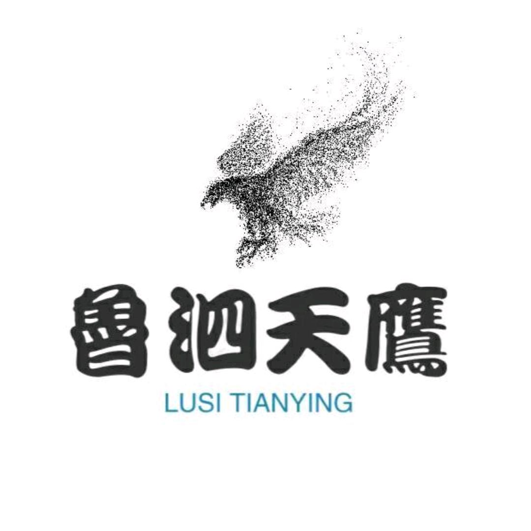 天鹰~锂电池~疝气灯~铭旭LED头灯