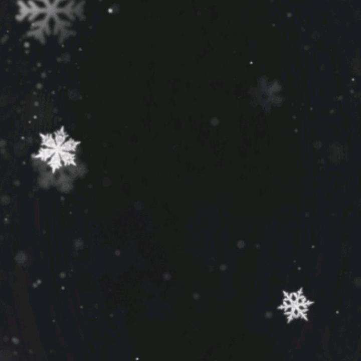 文山喜古八角林𠂆金亮到河北石家庄29年