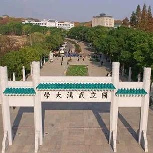 胖橘的故事