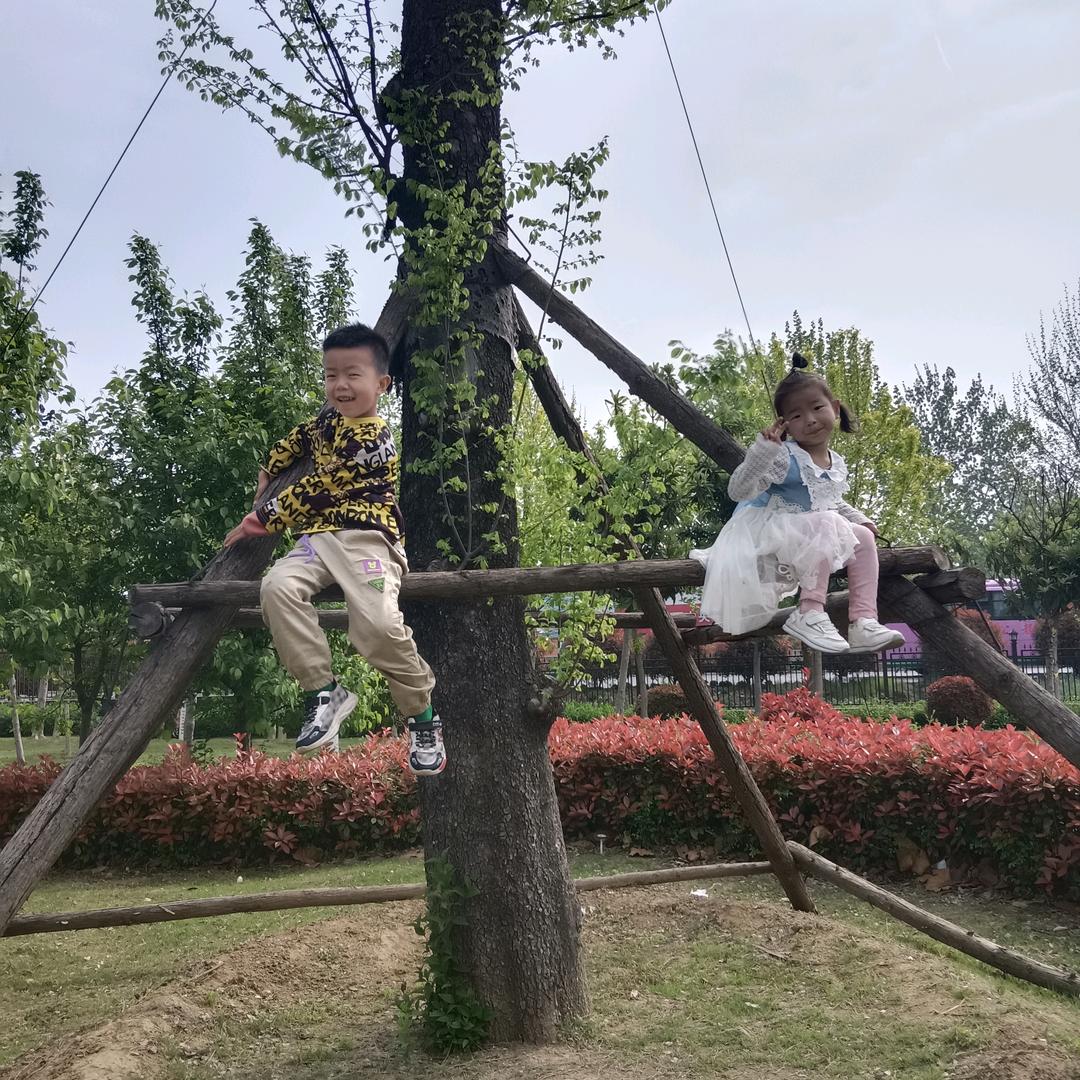 翠有三宝