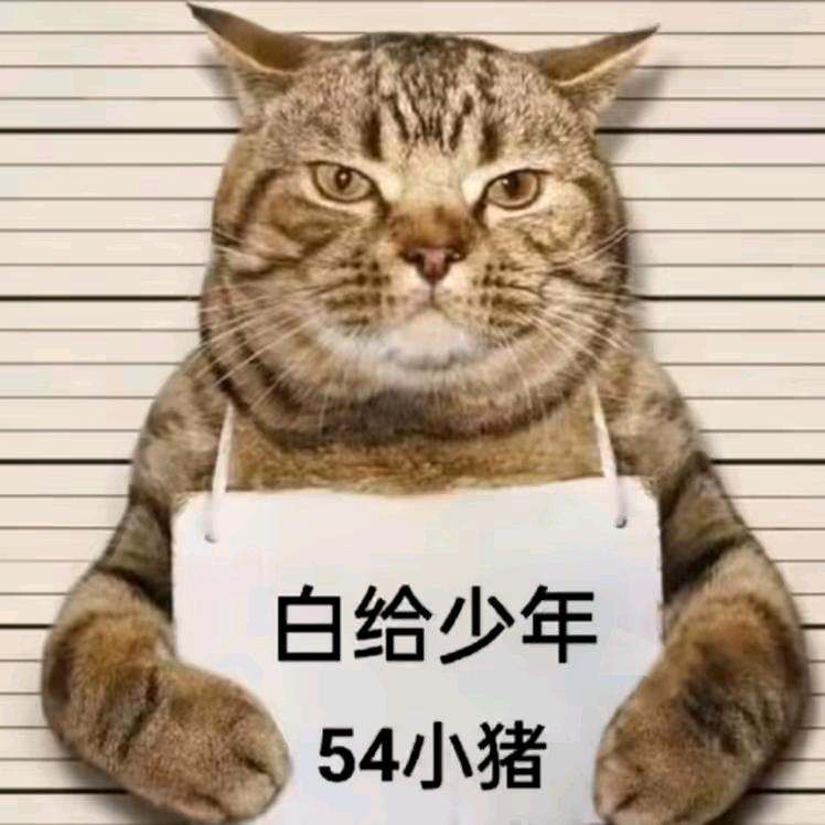 小猪