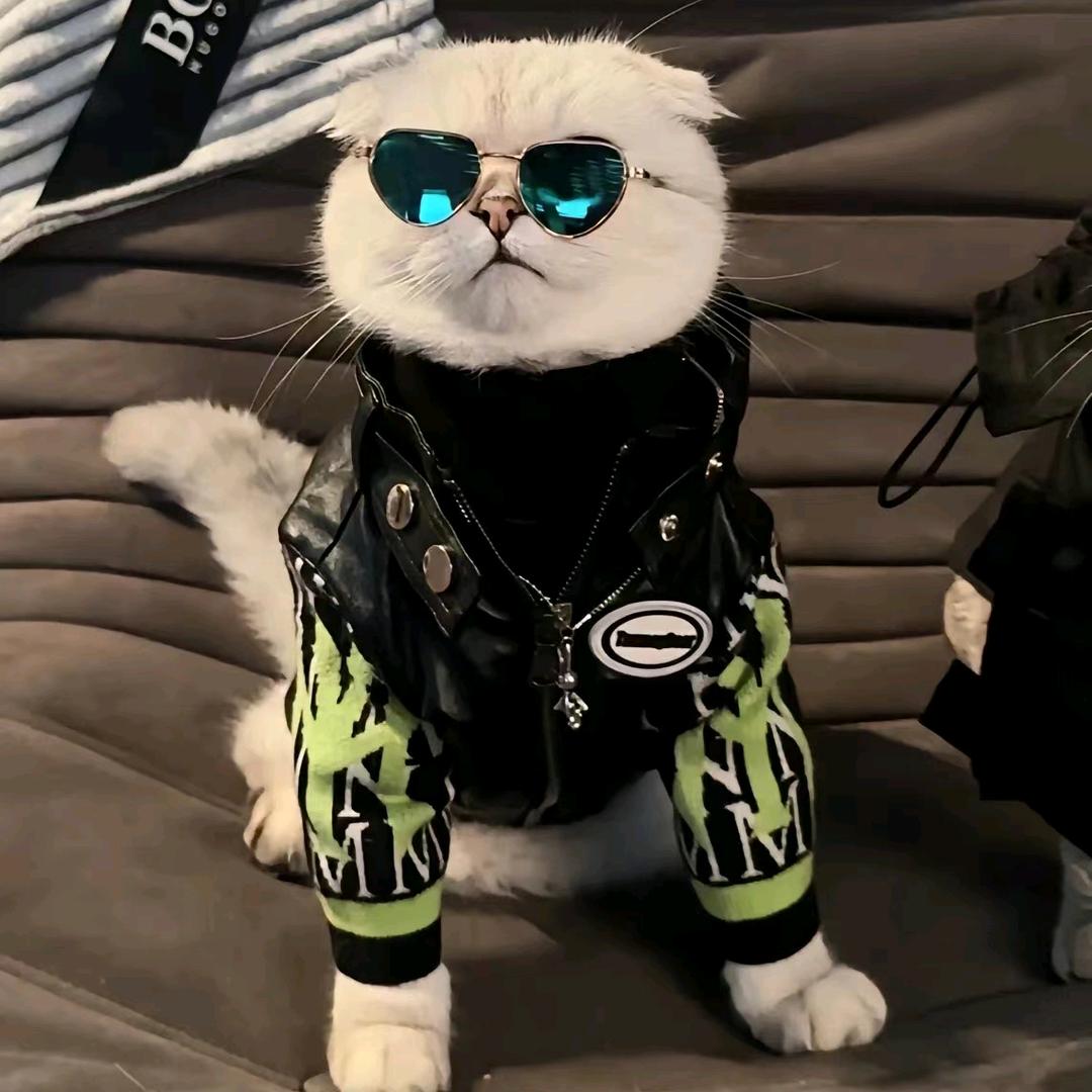 爱吃小羊的狼🐺