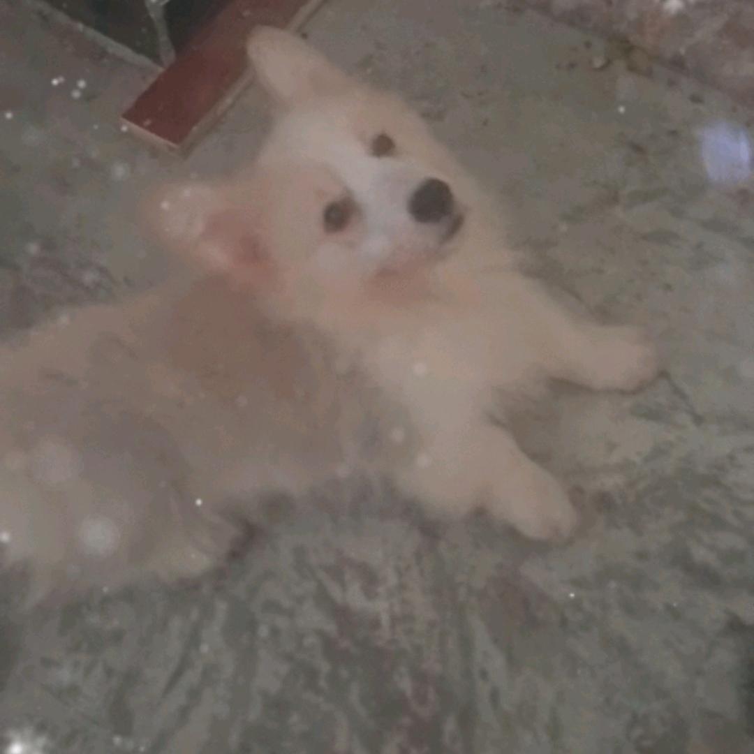流心
