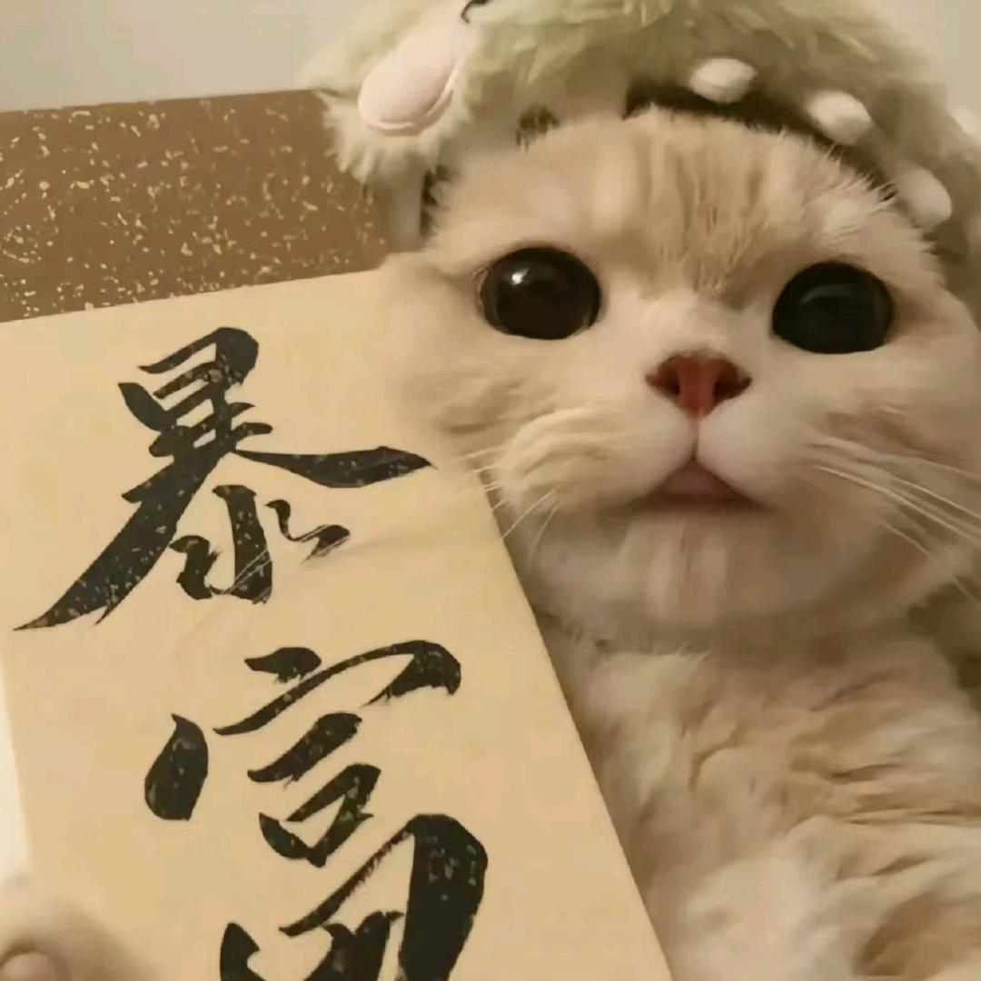 念顺利
