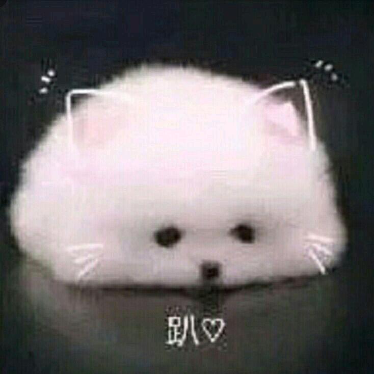依吱
