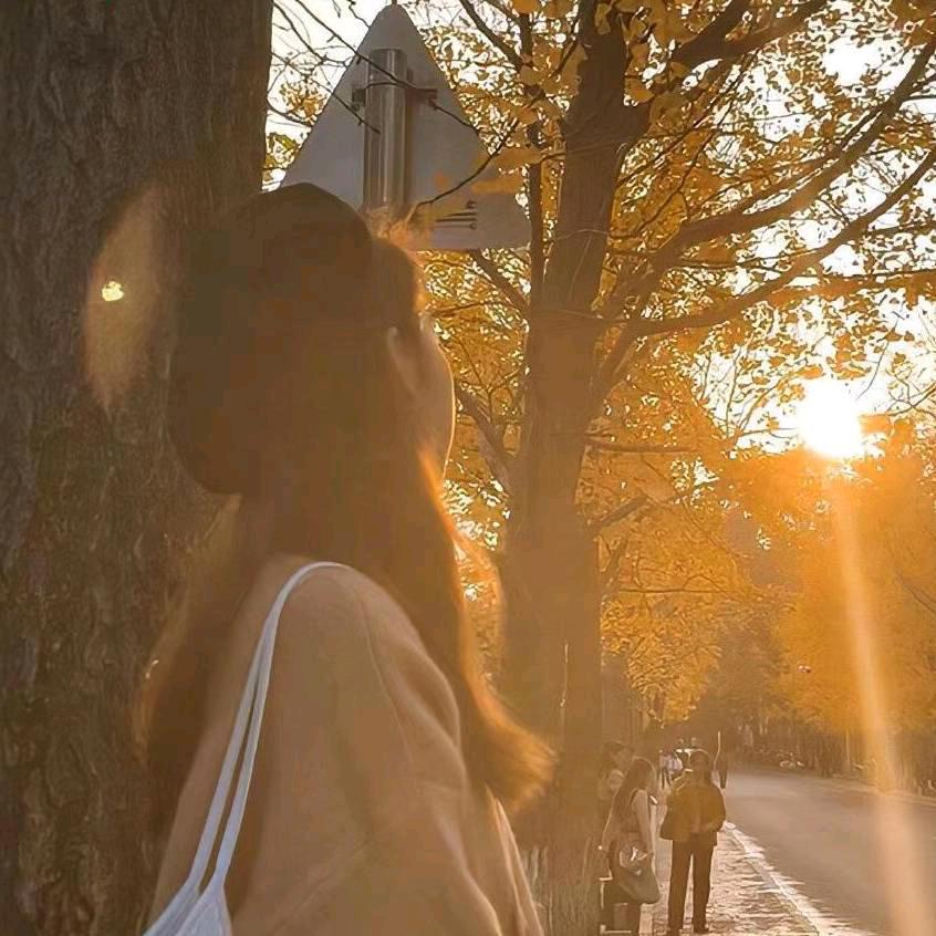 杏子杏子有点甜