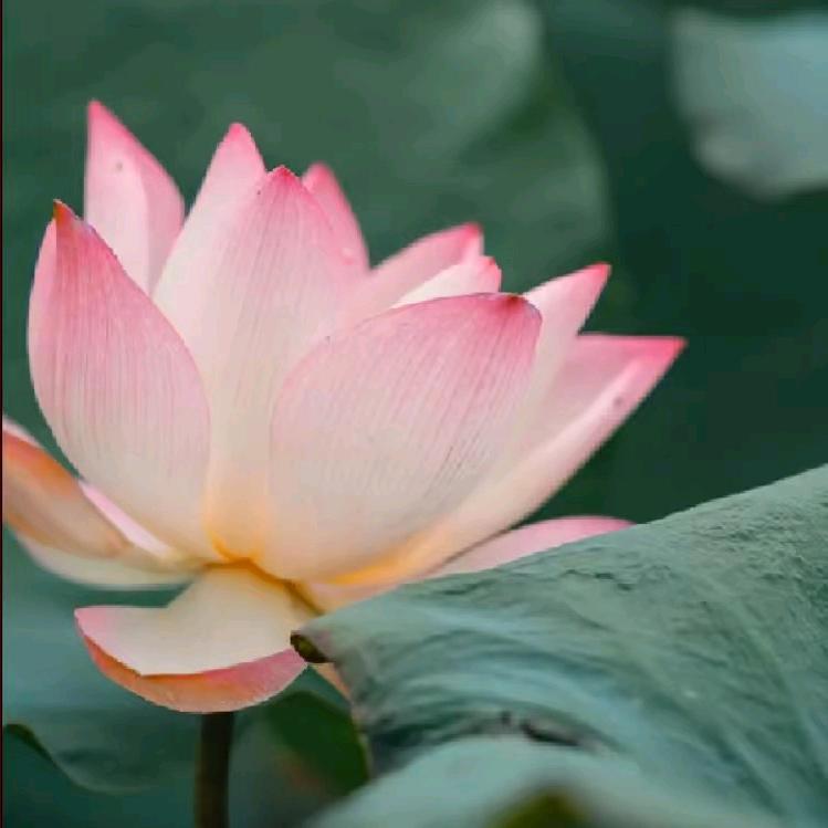 温州。休。老。二