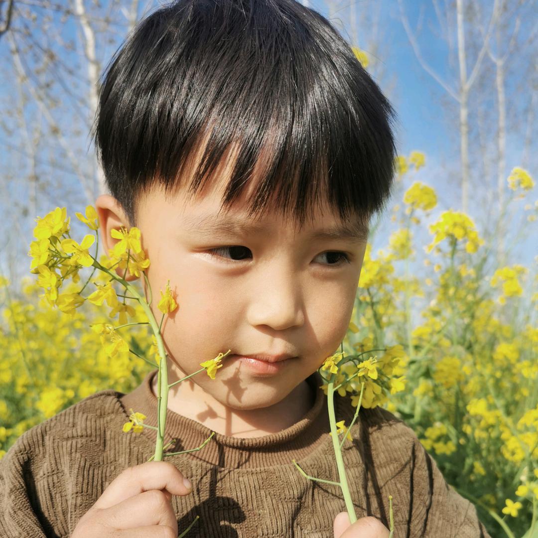 hao昊卿
