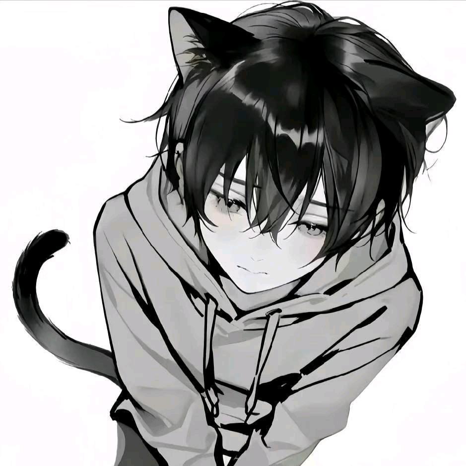 💤白少
