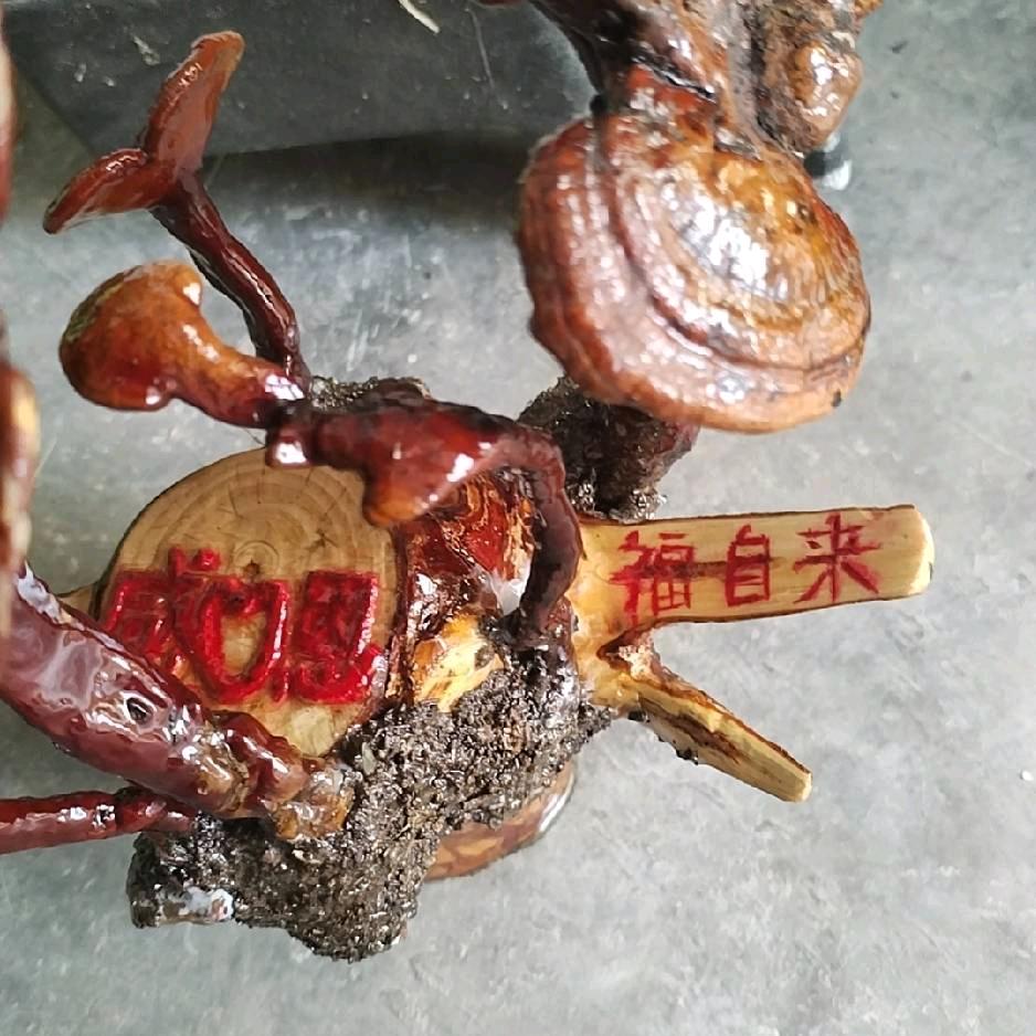 家合万事兴