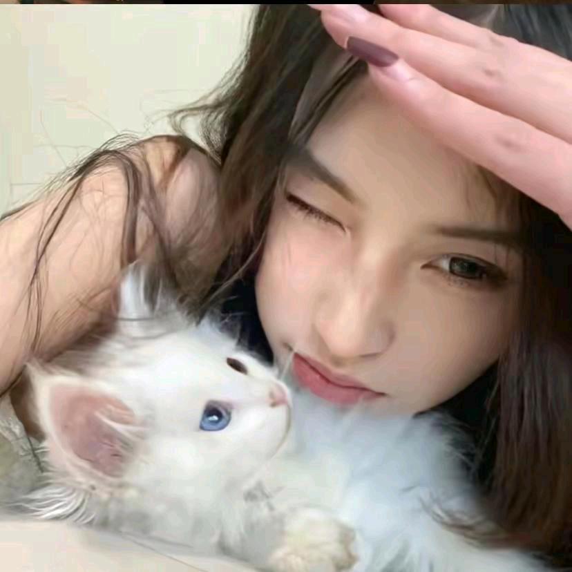 TikY-.
