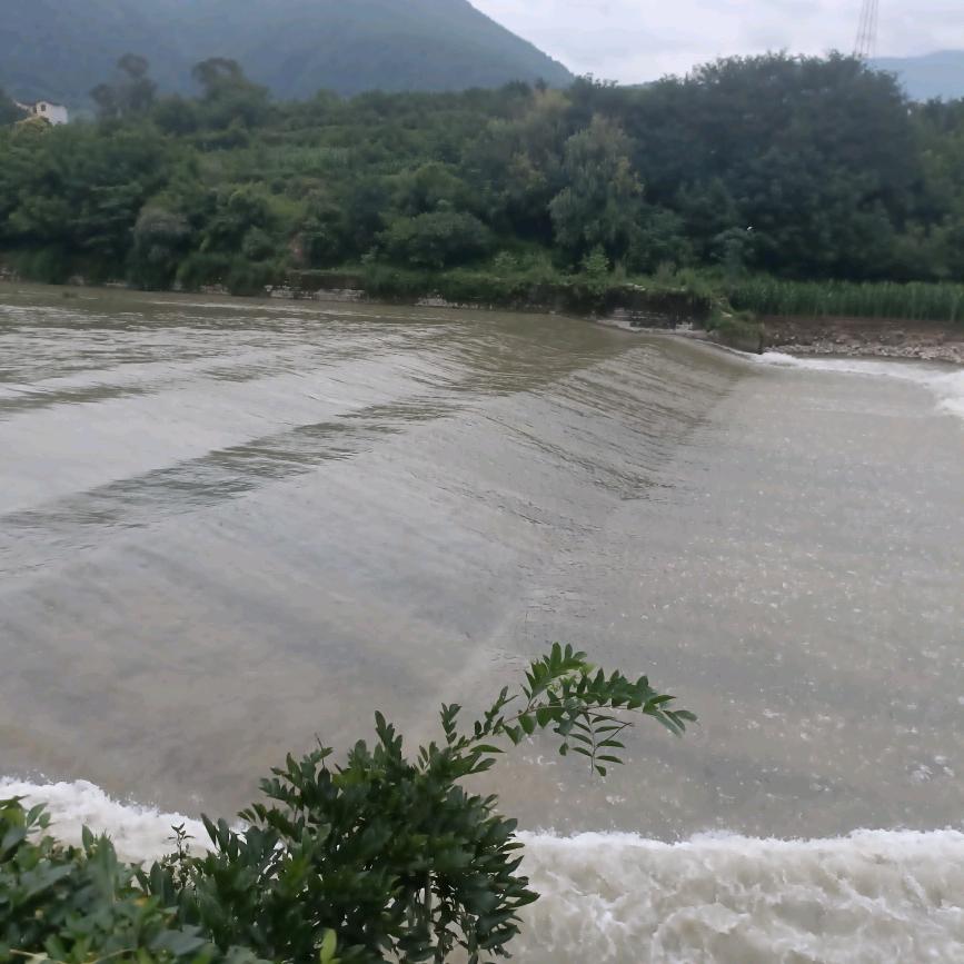 呼啦啦的桃子🍑