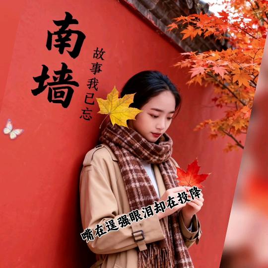 @张 % 菇  凉！！