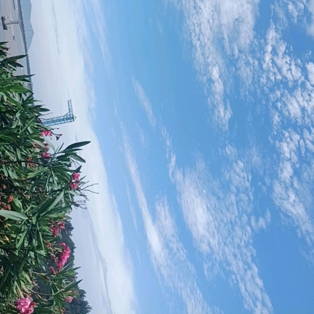 无所谓