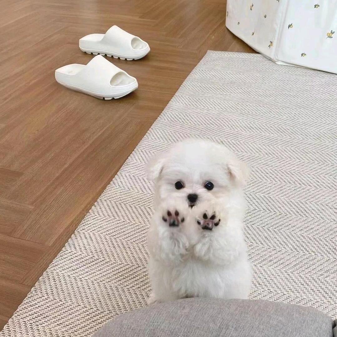 。头像