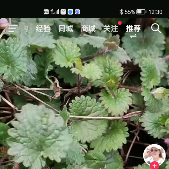嗯嗯