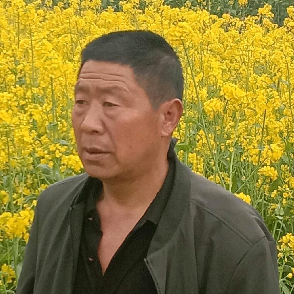 开心大哥2