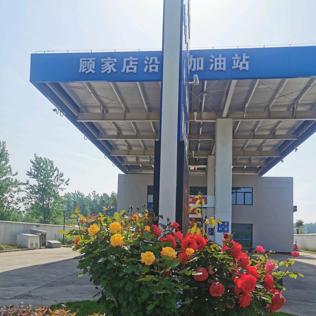 枯叶蝶