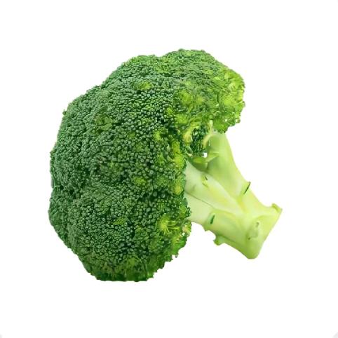 9245