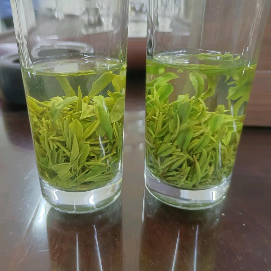 庐山野生云雾茶@野生石耳