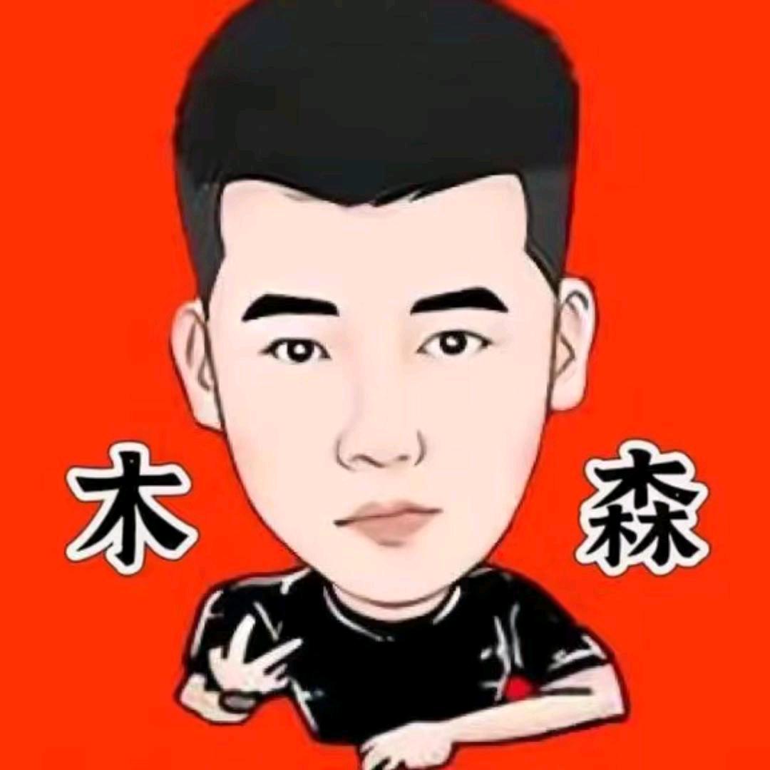 木森一飞冲天