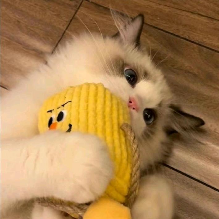-L-