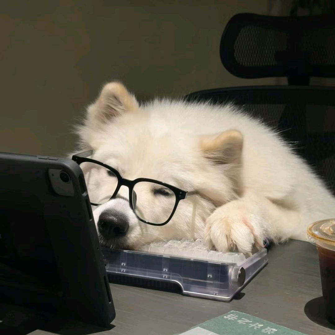 濛先生（厨神养成日记）