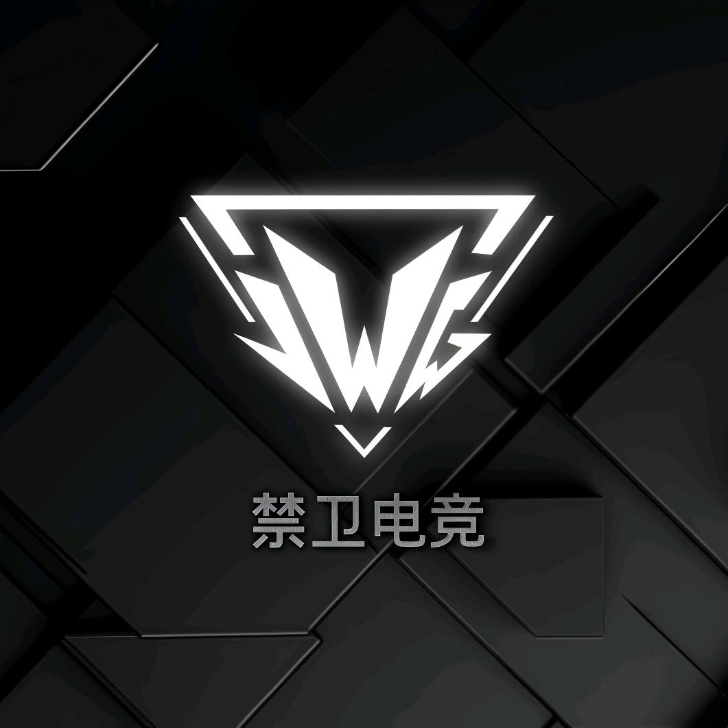 禁卫电竞（三角洲行动）