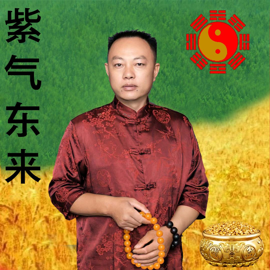 千善龙老师