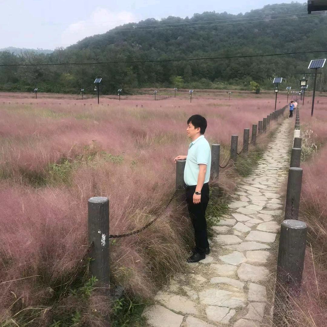 一路向南