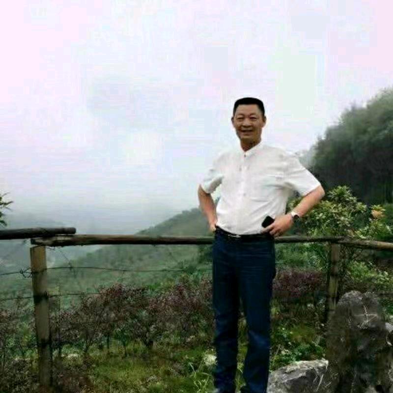 湖北人在新疆