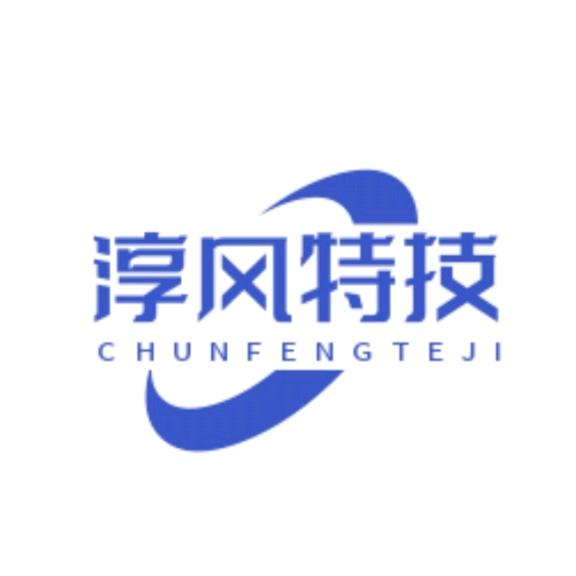 淳风特技
