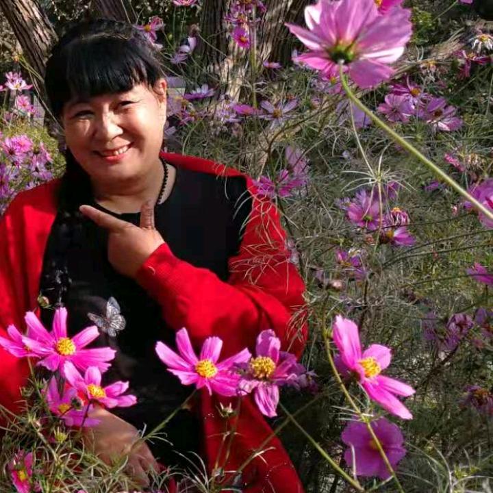 陶二婶