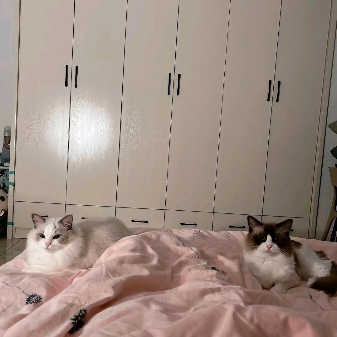 阿珍