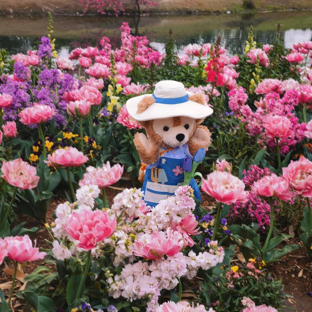 我真福了（许嵩见过我5.5次版）