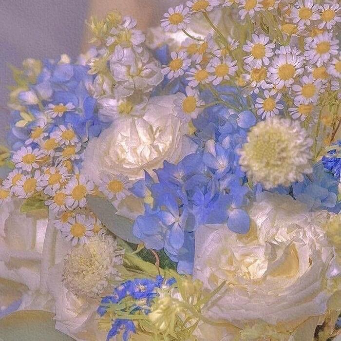 赶考小杨老师