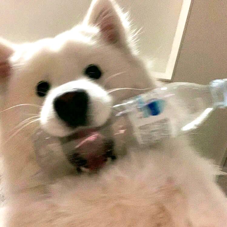 薛定谔的摄影墙