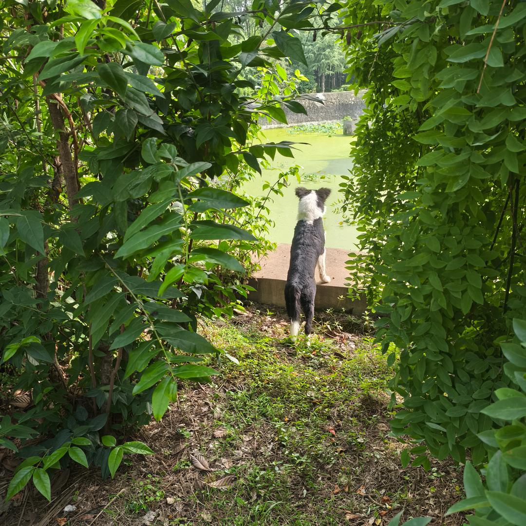 福福的诗和远方