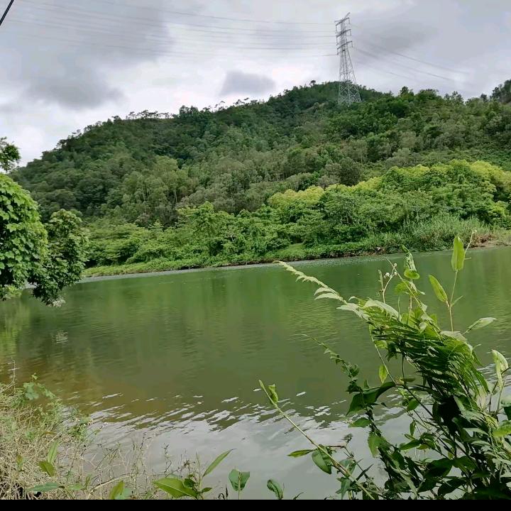 用户，2762400826